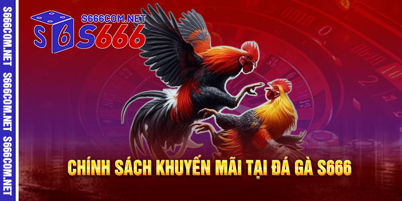 Chính Sách Khuyến Mãi Tại Đá Gà S666