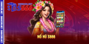 3 6